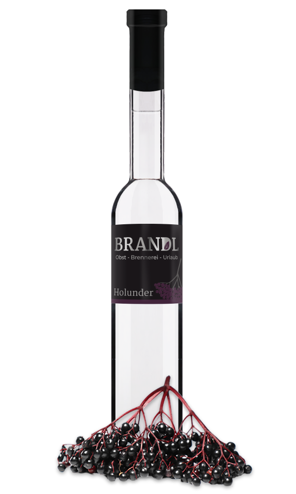Holunderbrand | BRANDL - Obst Brennerei Urlaub